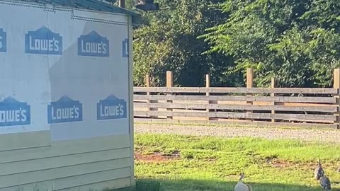 Help!!! We're stuck up here.