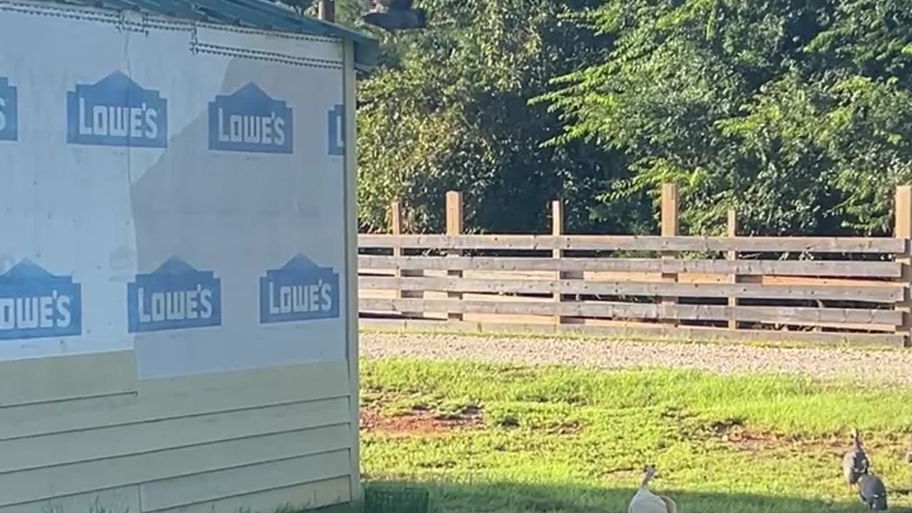 Help!!! We're stuck up here.