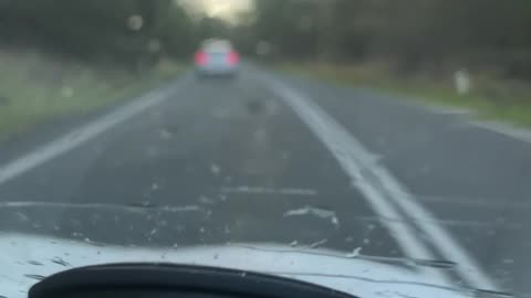 Drive with Rascal