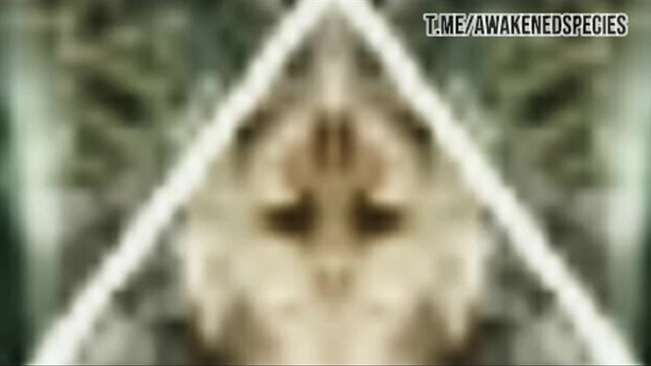 Dr. Daniel Nemes - Multidimensional Beings