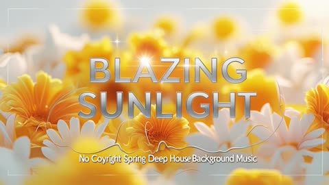 Blazing Sunlightc (Instrumental) [No Copyright Spring Deep House Background music] #10