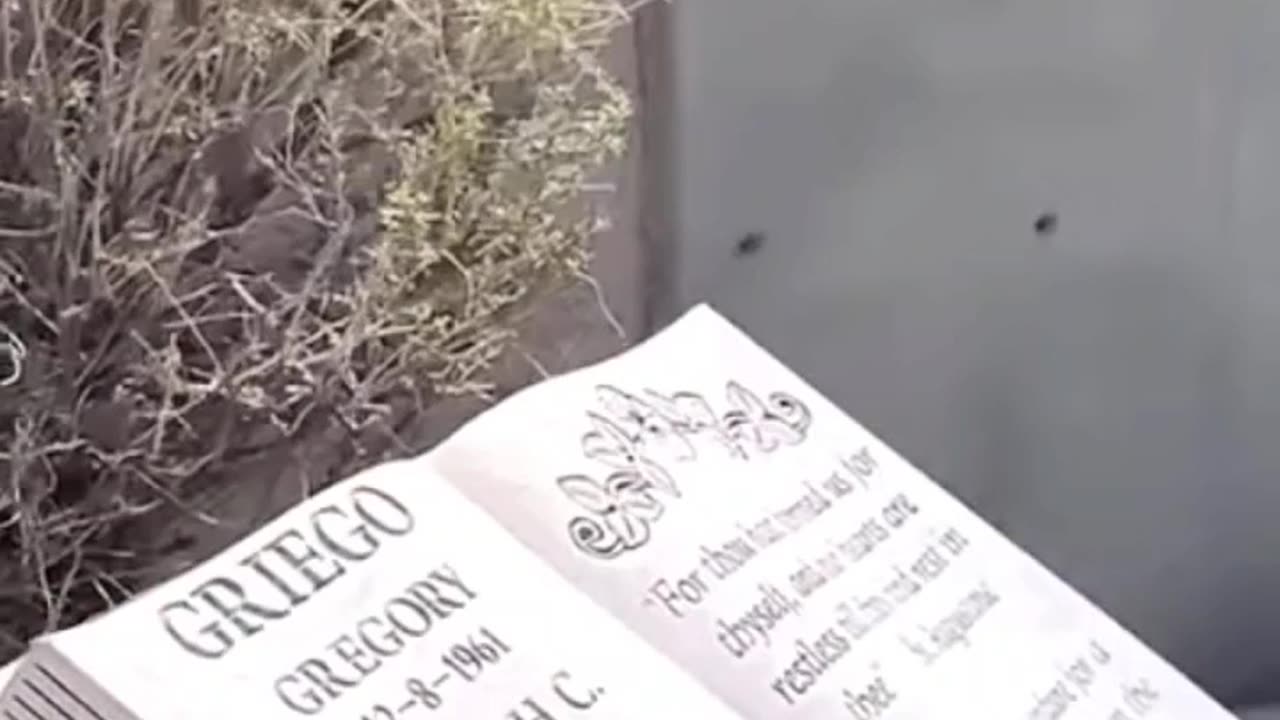 GUN LAWS IN ACTION - VOL. 577: THE GRIEGO FAMILY MASSACRE