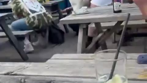 Bottles were hurled and people ducked for cover in a shocking incident on Brighton seafront