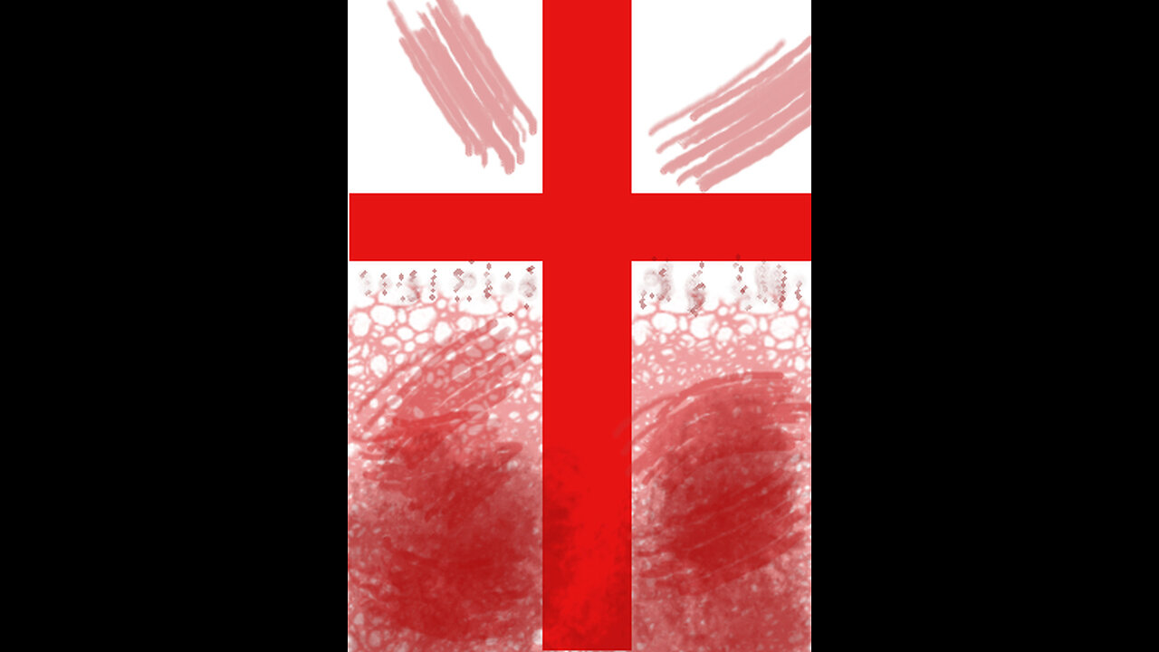 Islamisaatio - Kristittyjen vainot