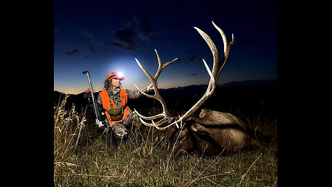 Face to Face with BIG BULL | Elk Hunting Success