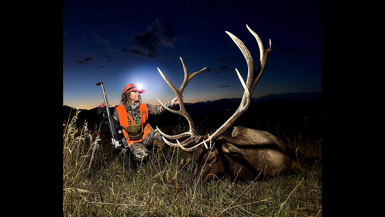 Face to Face with BIG BULL | Elk Hunting Success