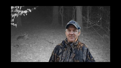 Do Whitetail deer sleep?