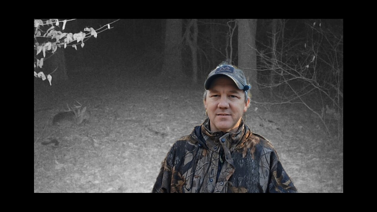 Do Whitetail deer sleep?