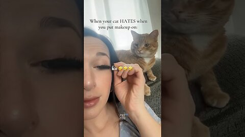 Animals Funny Compilation #funnyanimals #animals #pets #shorts