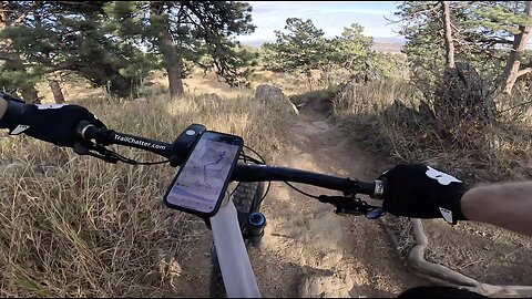 Maverick | White Ranch Park | Golden | Colorado
