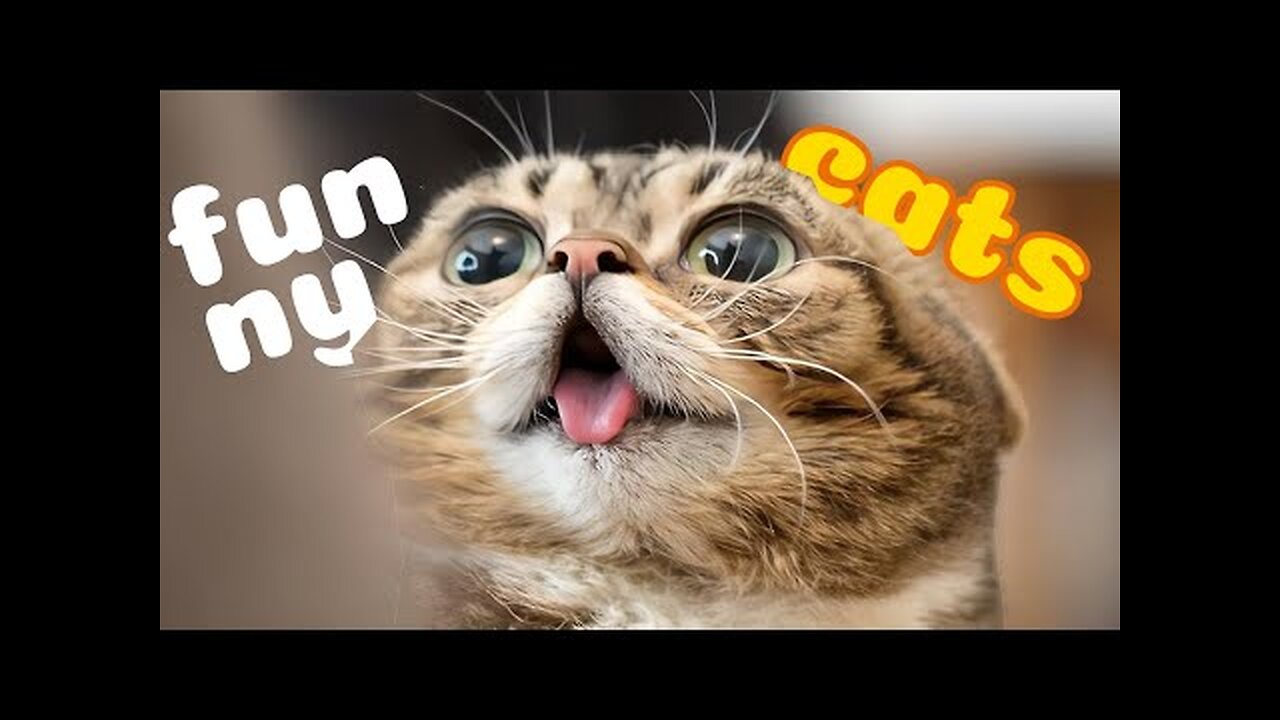 Best Funny Cats Videos 🤣 2025