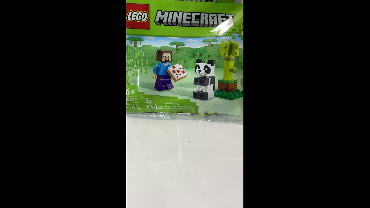 Stop & Shop: Toys for Boys: LEGO Minecraft Sets (Steve & Baby Panda) #30672 (New Sealed)