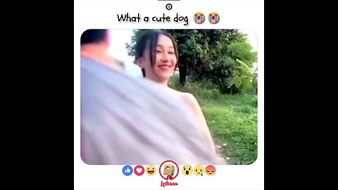 what a cute doge(720p) # shorts