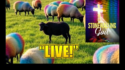 Stonewalling God Show: Live! (09/10/2025)