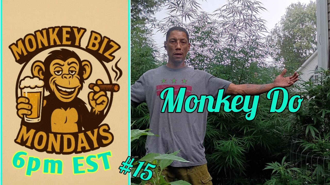 Monkey Biz Mondays: Monkey Do