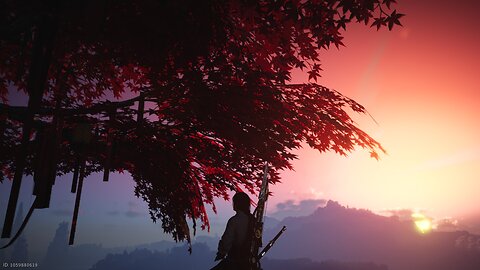 Tameralic Nights 4 - WWM 12/3/2025