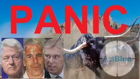 DOJ Investigations: Panic Over Epstein Investigation. Act Blue Caught Money Laundering.