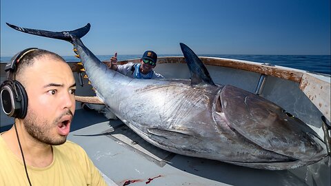 Kalkazian reacts Landshark Outdoors | 48 Hrs Chasing $1,000,000 Fish GIANT Bluefin Tuna