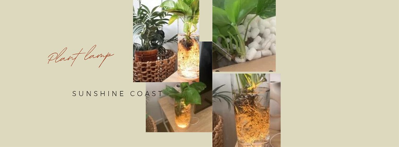 Plant Lamp