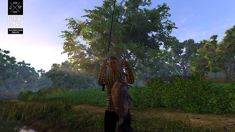 Fish feeding simulator (ok Fishing Planet)