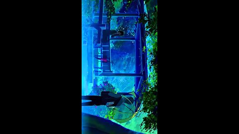 The beauty of anime #dontflop #anime #4kquality #edit #beautiful