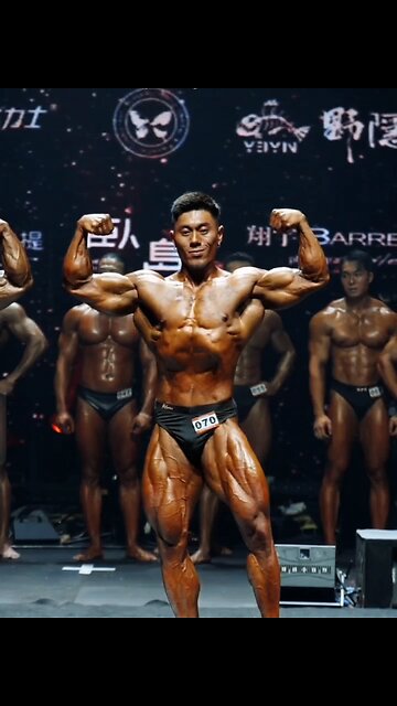 bodybuilding championship
