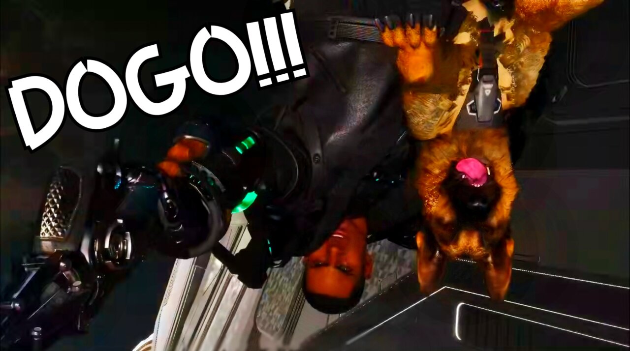 A Wild Dogo Has Appeared |TFD