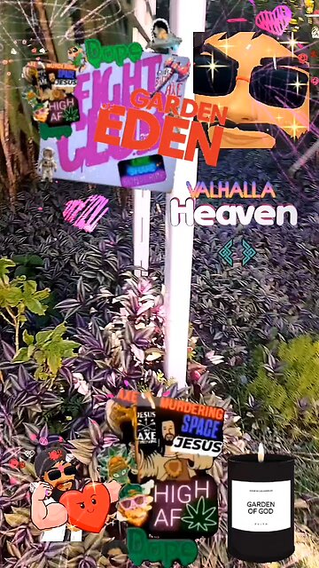 Mushroom 🍄 garden 😁💯