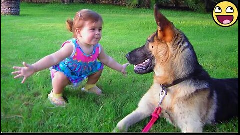 Babies & Animals: The Cutest Friendships Ever!