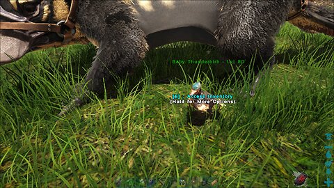The Legendary Thunderbirb - Harth ARK Season 2