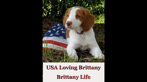 USA Loving Brittany