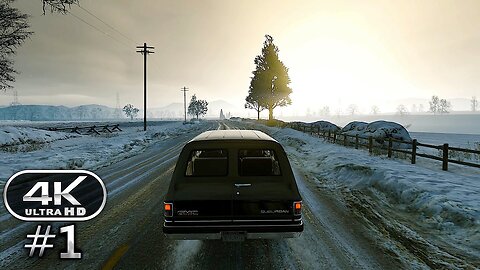 Grand Theft Auto 5 4K Ultra Graphics Gameplay Walkthrough Part 1 - GTA 5 4K 60FPS PC No Commentary
