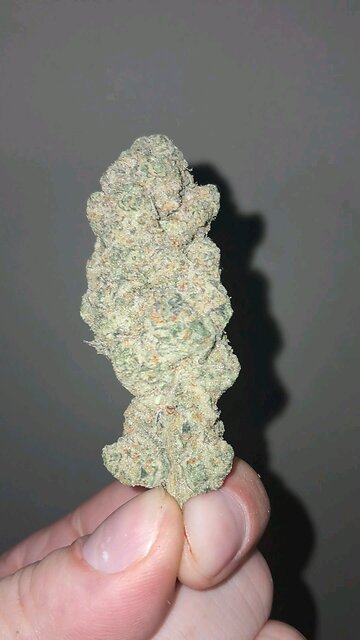 two buds in a jar on YouTube cultivar