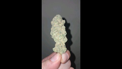two buds in a jar on YouTube cultivar