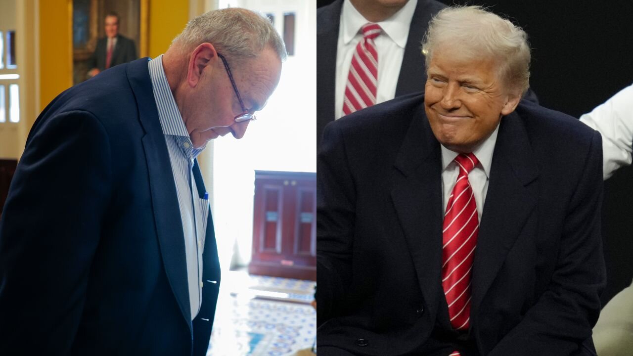 Schumer Backstabbed - 14 Democrat Senators Side With Trump