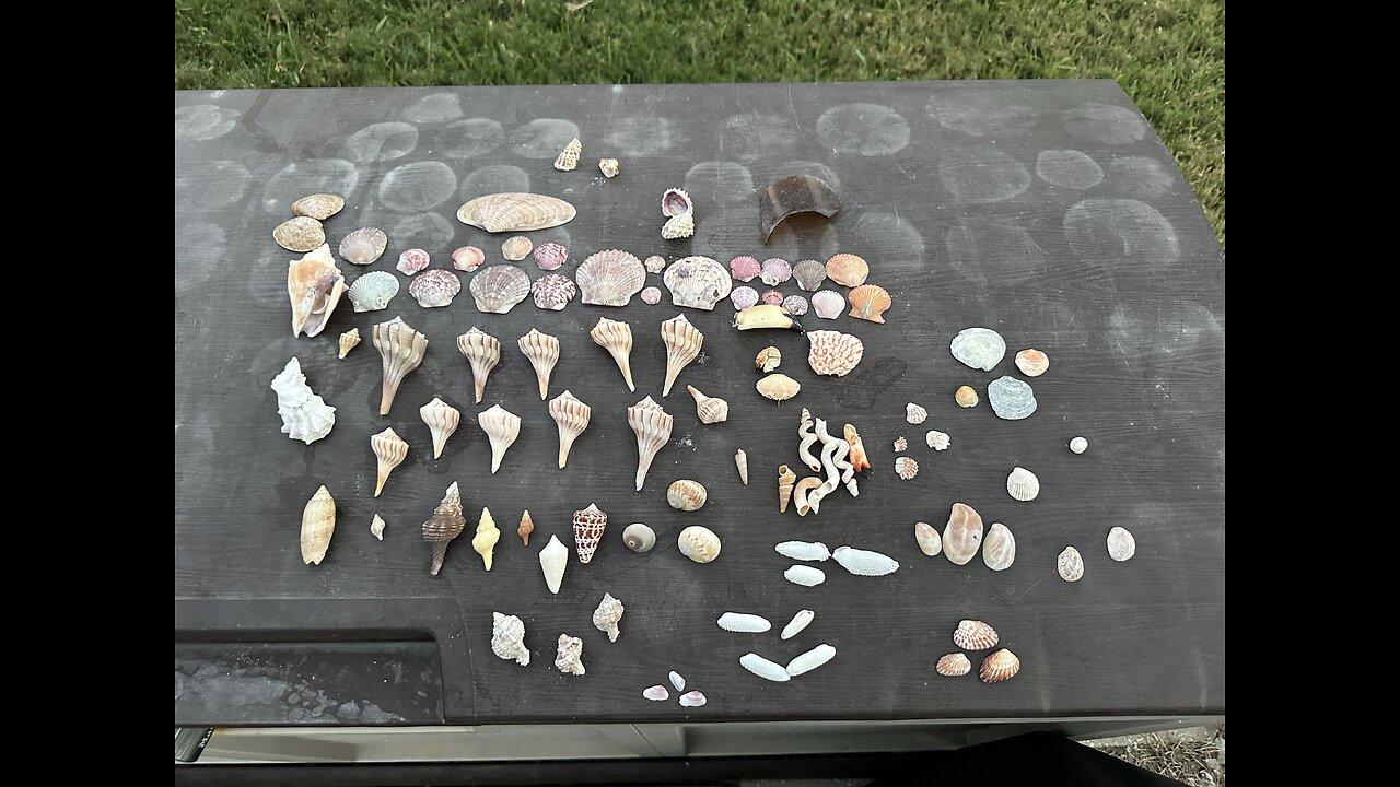 Beach Finds 4/18/2025 | 4K