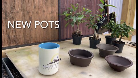 Three Pot Day