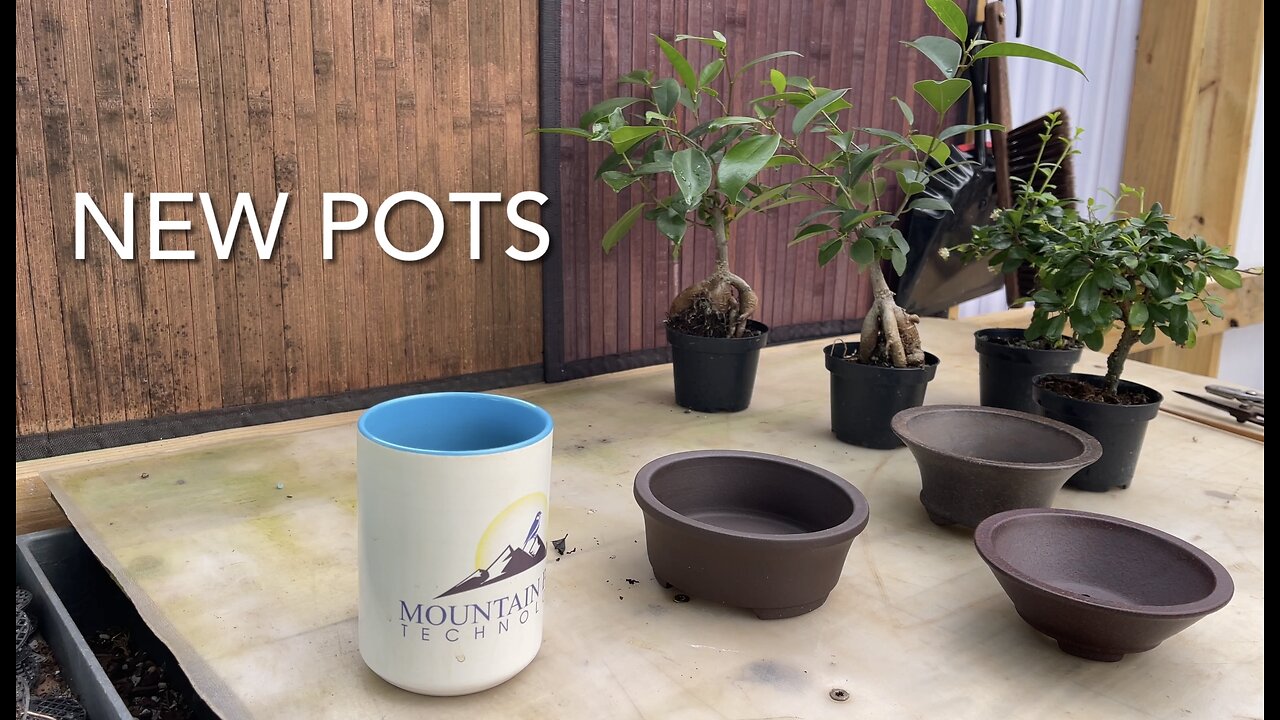 Three Pot Day