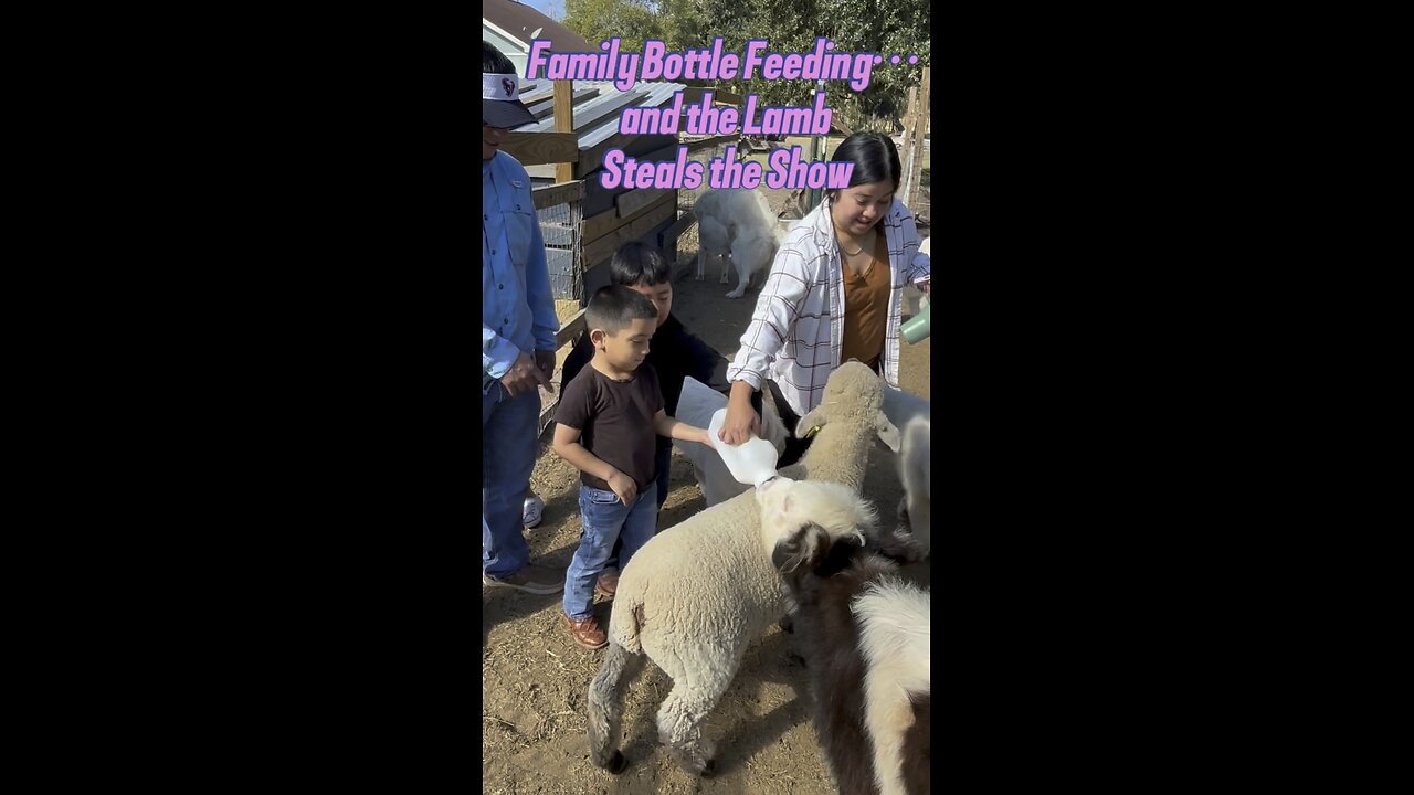 Bottle Time Turns Into a Farm Frenzy