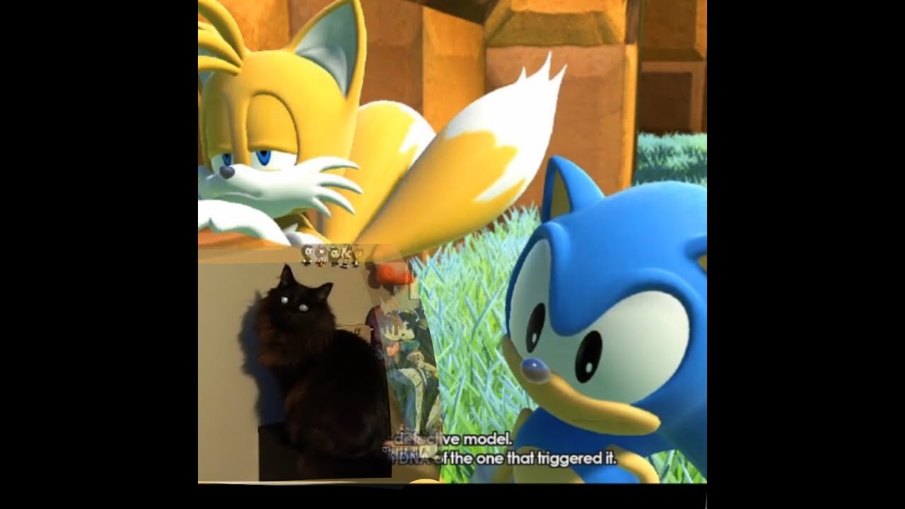 Sonic Forces ll My Cat Wants Attention! Part 4