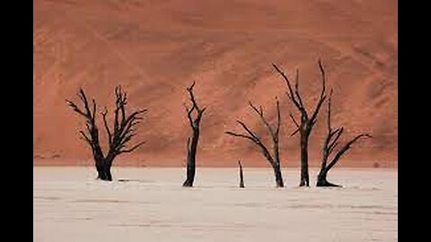 "Unveiling Bill Gates' Controversial Plan to Battle Climate Change by Eliminating Trees"
