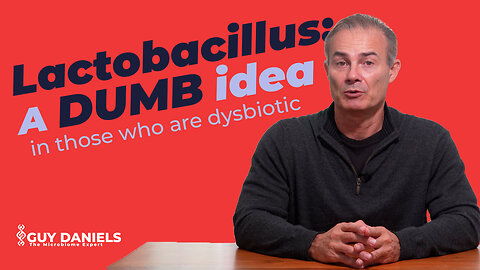 Lactobacillus: A dumb idea in those who are dysbiotic. The Wrong Probiotic! | The Microbiome Expert