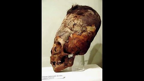 "Uncovering the Mysteries: Homo Capensis, Paracas Skulls & Nephilim- Our Elder God Overlords?"