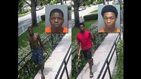 Colin Flaherty: Colin Flaherty Not Starting Coalition. Black Teens Saw XBox. Shot Mother in the Head