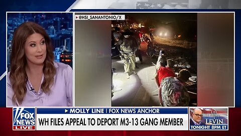 Judge orders return of alleged MS-13 gang member to the US