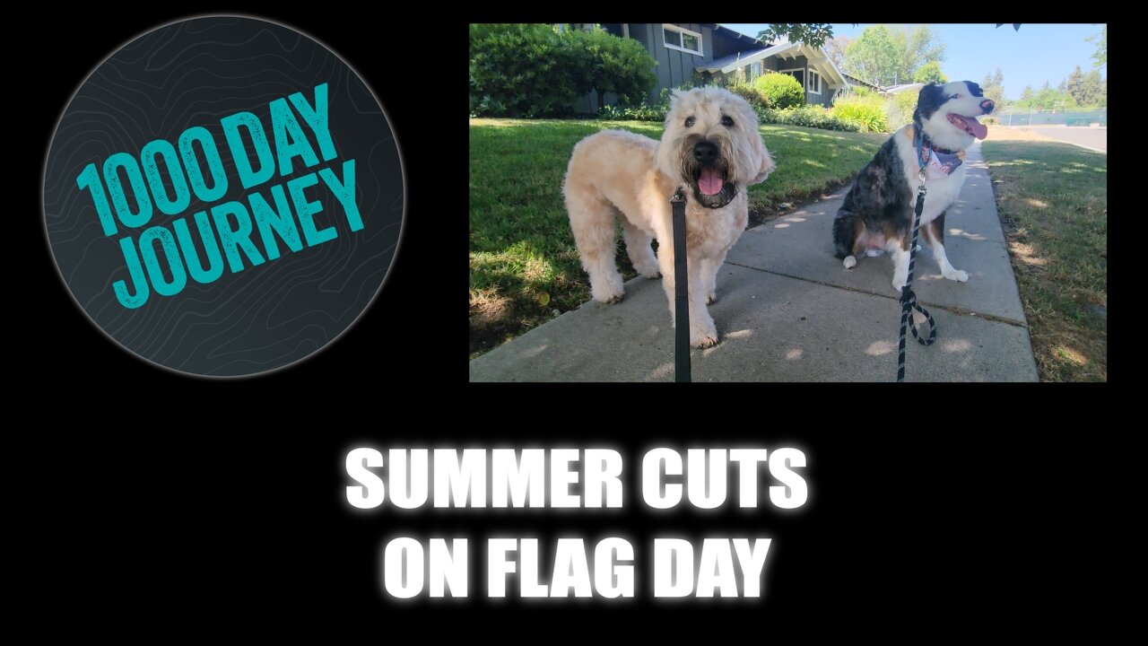 1000 Day Journey 0697 Summer Cuts on Flag Day