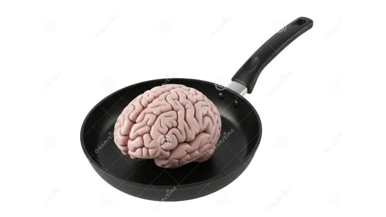 Your brain is cooked [b4LRtez4LZI]