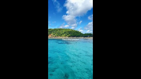 This is the function!