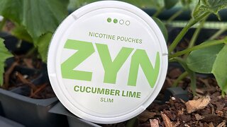 Zyn Cucumber Lime (Nicotine Pouches) Review