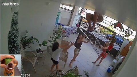 Funny videos compilation 10